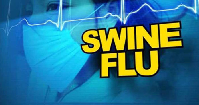 http://vsnews.co.in/upload/2017-11-07/1420071157swine-flu-696x369.jpg